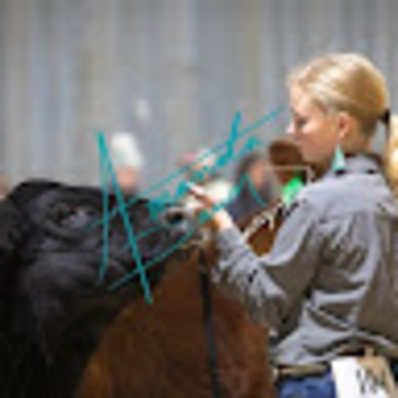 Meet your Posher, Aspen - Picture 1 of 1